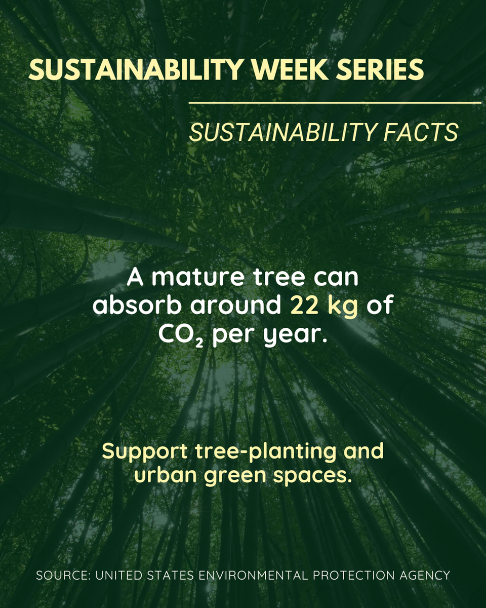 Work-study portfolio image 7